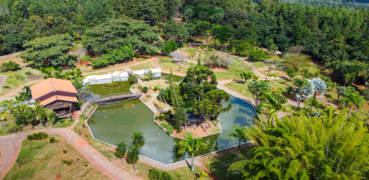 Jardim Botânico completa 41 anos com programação especial