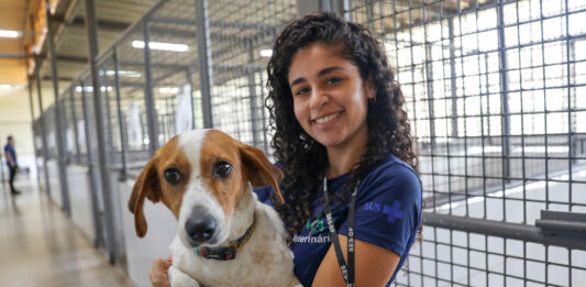 Cães resgatados pela Zoonoses aguardam há mais de um ano por um novo lar. Saiba como adotar