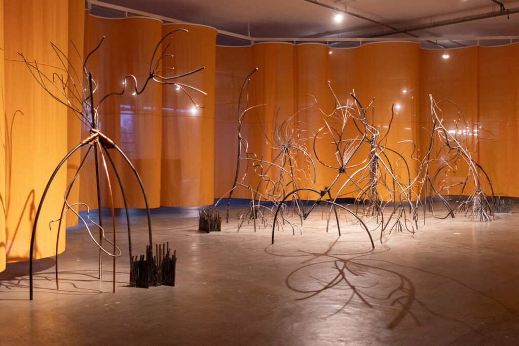 36ª Bienal de São Paulo desembarca em Brasília