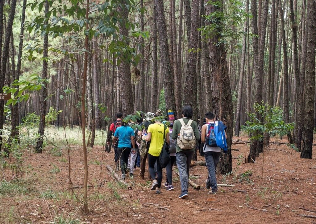Evento gratuito celebra os 27 anos da Floresta Nacional de Brasília